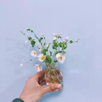 海绵宝宝3D版赛车