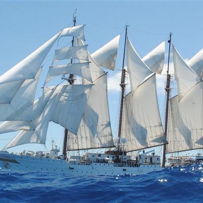 世界撑杆跳大赛